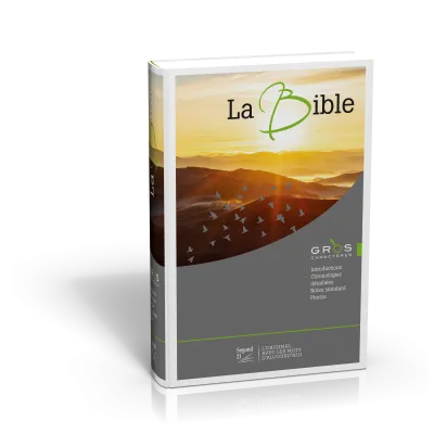 Bible Segond 21 gros caractères rigide illustrée