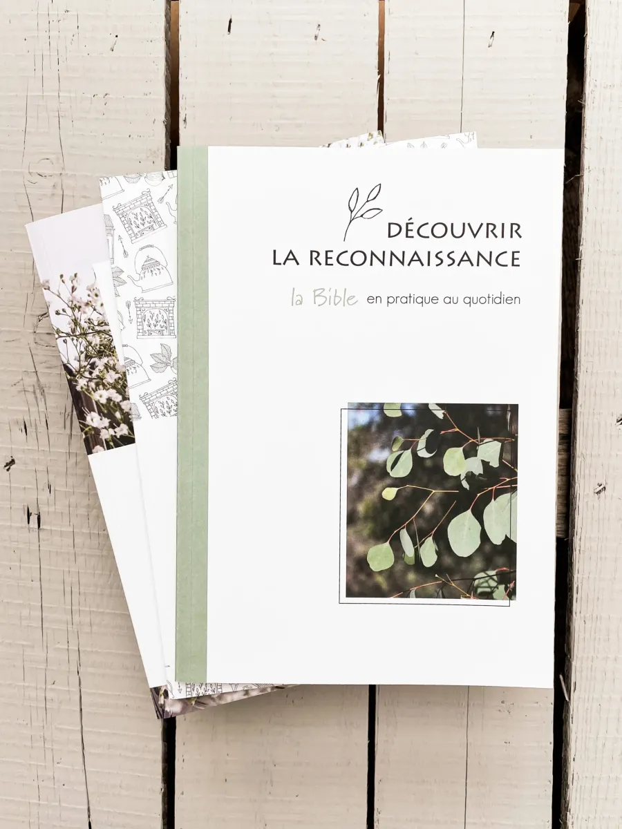 Découvrir la reconnaissance - La Bible en pratique au quotidien