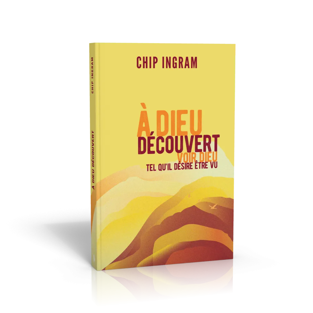 A Dieu découvert - Voir Dieu tel qu'il désire être vu