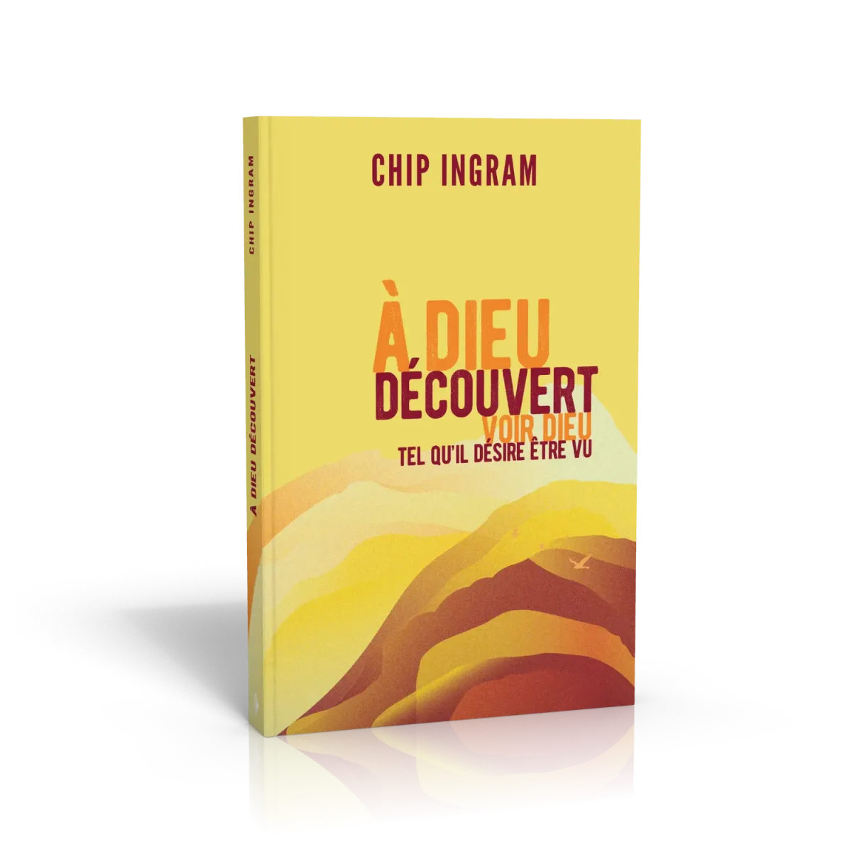 A Dieu découvert - Voir Dieu tel qu'il désire être vu