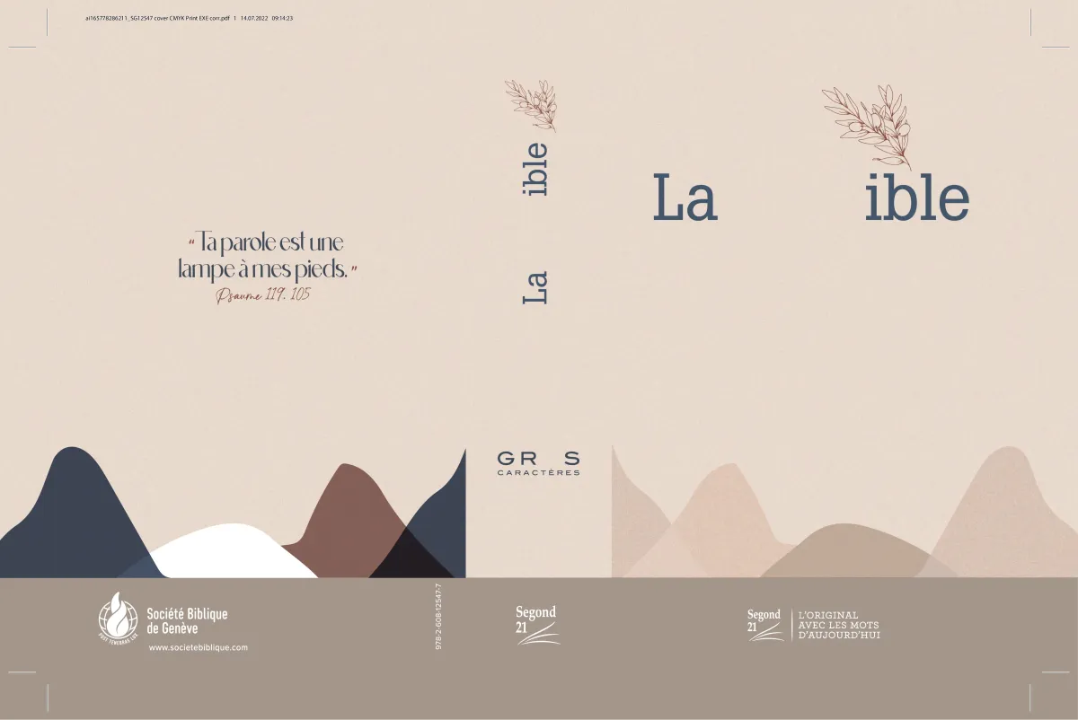 Bible Segond 21 gros caractères rigide toilée matelassée Soeur-Co